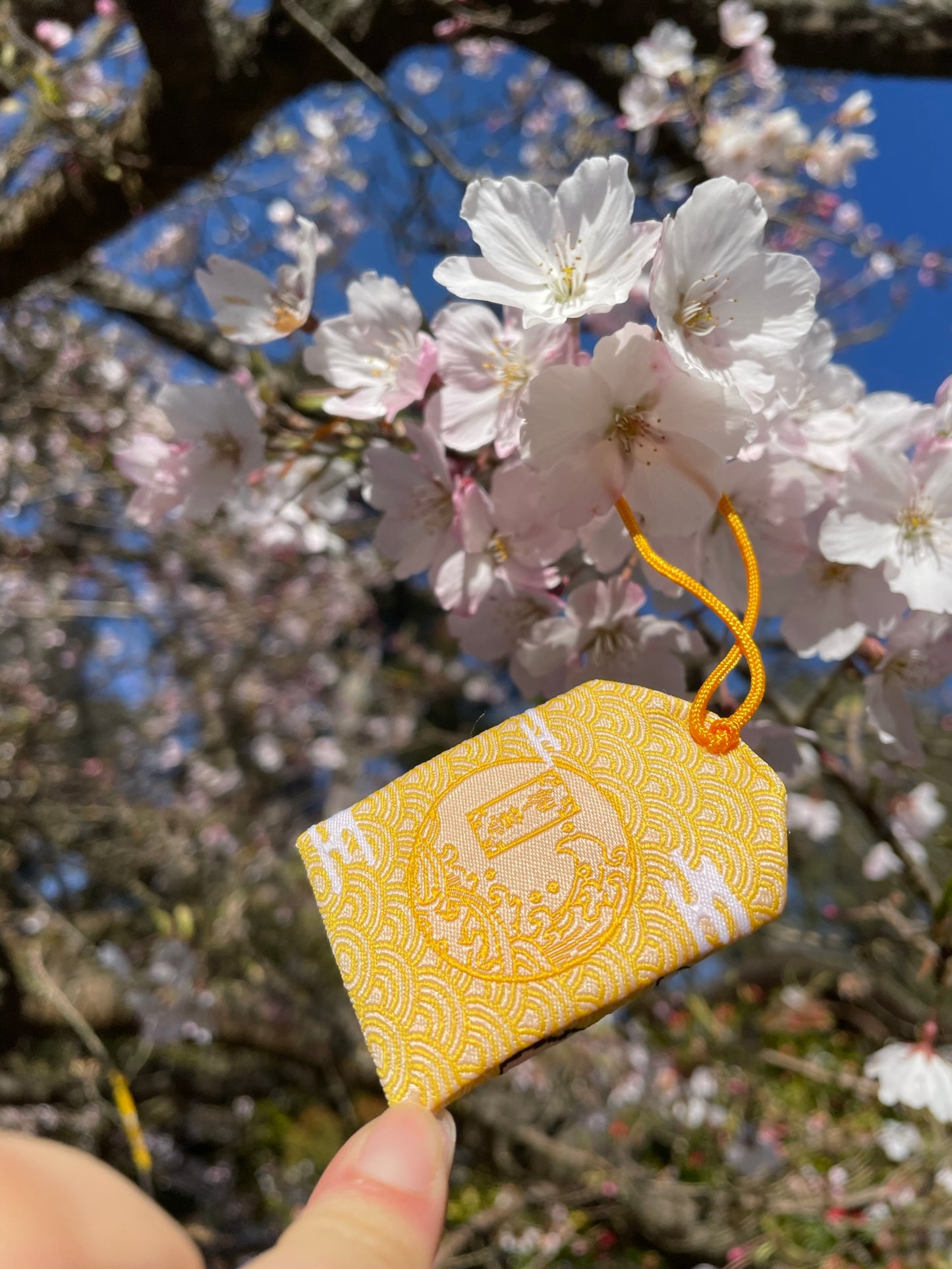 Yellow Koi Good Luck Charm (Omamori)