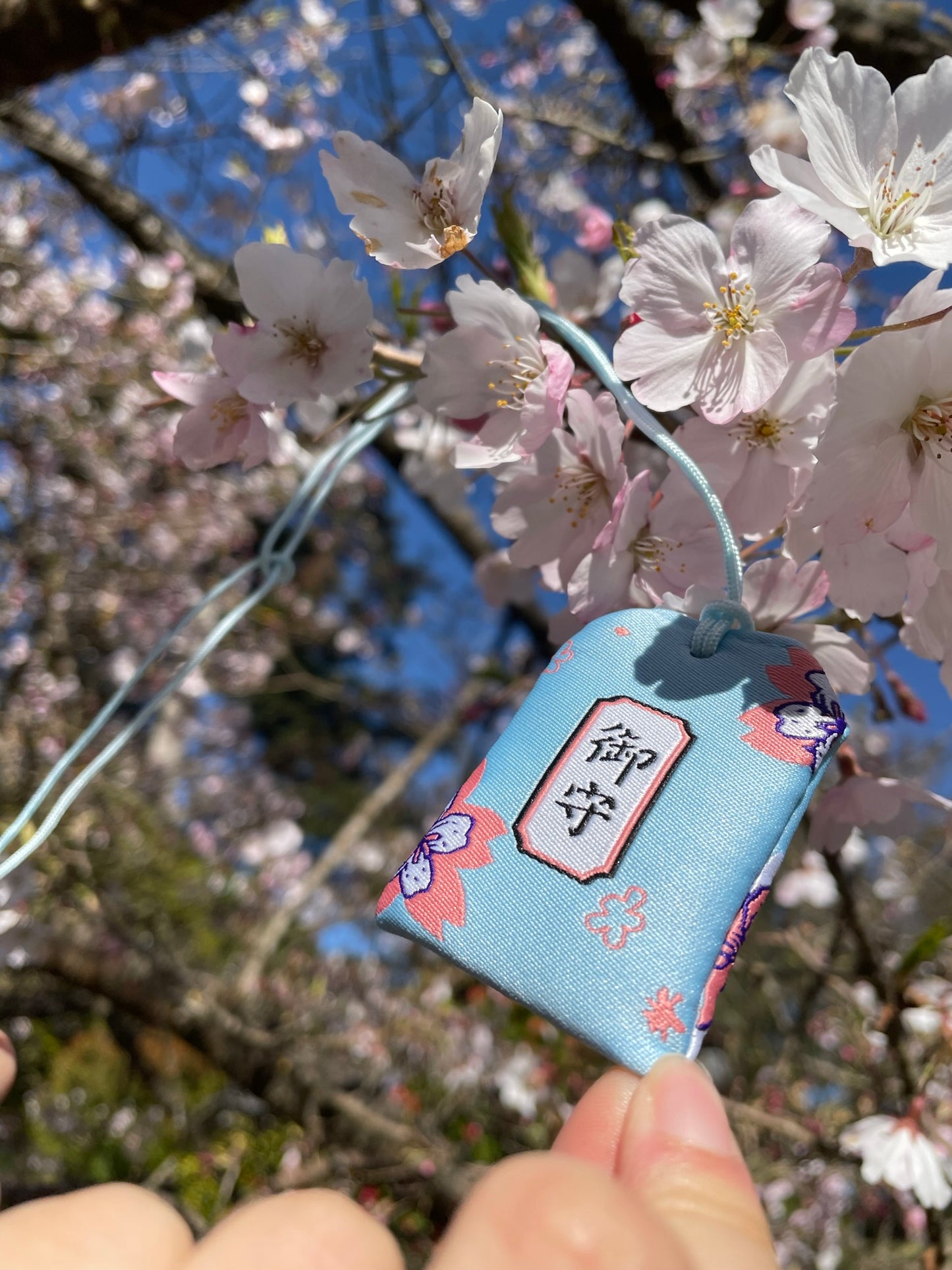 Blue Sakura Protection Charm (Omamori)